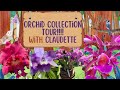 Orchid collection tour with claudette