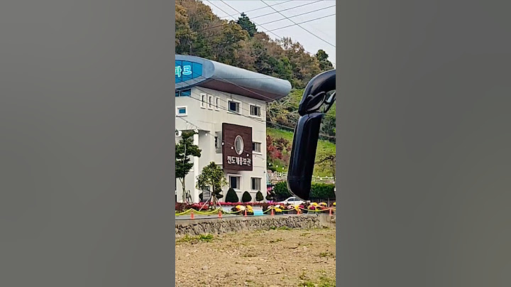 진도 진도개 테마 파크에 왔어요 그리고국화축제장 예쁜 송가인가수님 어게인팬클럽 핑크버스 도착 인증샷
