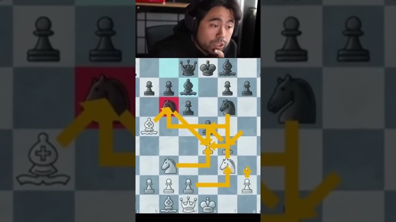 Always Focus On The Real Things In Life CHESS Chess Funnymemes Meme Anomalice Chesstactics
