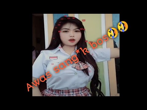 VIRAL !! TIK TOK CEWEK SMA SUSU GEDE DAN IMUT