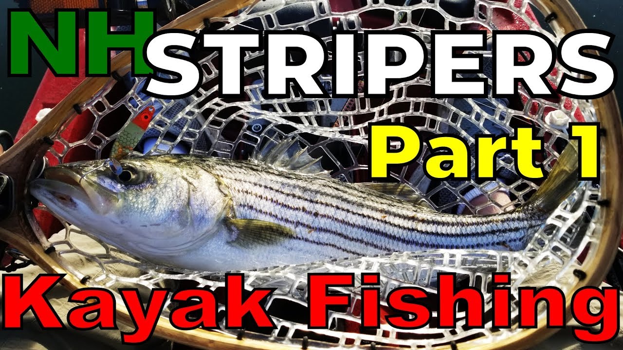 NH Striper Fishing Kayak Part 1 of 2 YouTube