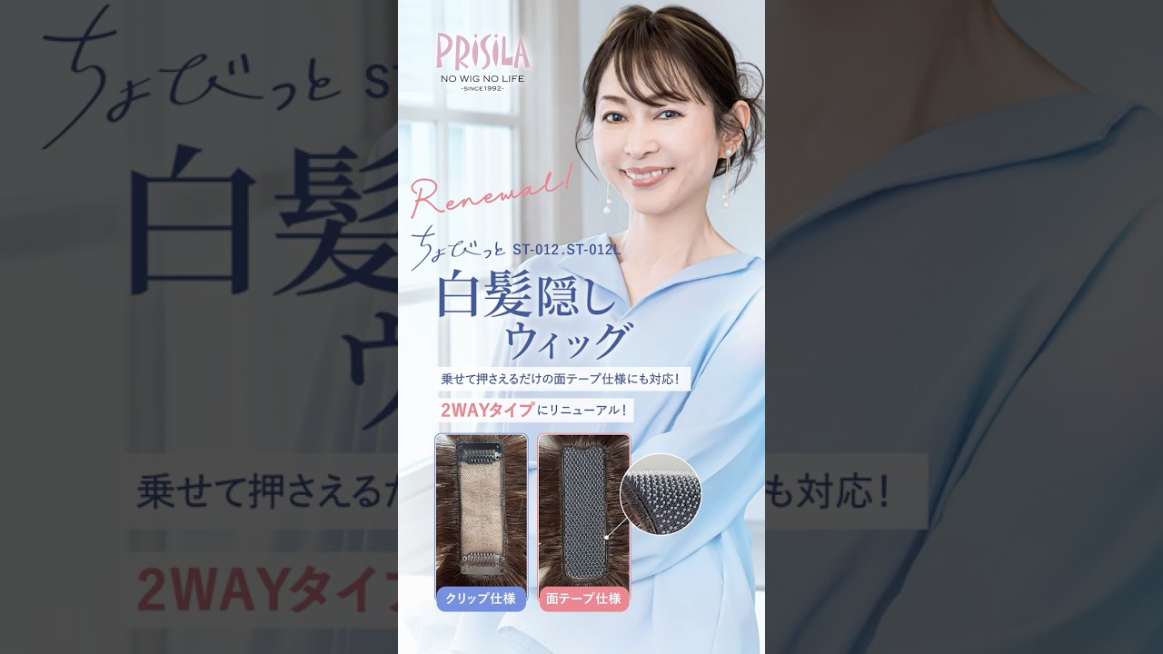 髪型の確認用 リニューアル発売】ちょびっと白髪隠しウィッグ【スタンダードタイプと