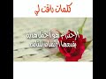 كلمات راقت لي 