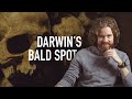 Darwin's Bald Spot
