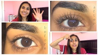 Diy Eyelash Liftperm At Home Faq
