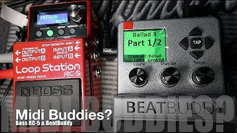 Boss RC 5 & BeatBuddy Midi Buddies