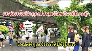 สถานีรถไฟฟ้าถูกปกคลุมด้วยต้นไม้ใบหญ้าฝรั่งยังงงไอเดียร์สุดเจ๋งของคนไทย