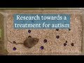 Research towards a treatment for autism
