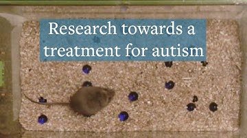 Research towards a treatment for autism