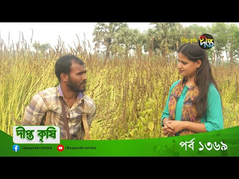 DEEPTO KRISHI | মাগুরায় প্রথমবার 'চিয়া সিড' উৎপাদন করে সফল শারীরিক প্রতিবন্ধী কৃষক আক্কাস খান