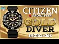 New Citizen Promaster 200m Gold Diver BN0152-06E Unbox &amp; Review Plus ALL The Other Promaster Colors!