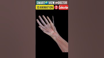 CTS RELEASE 3D ANIMATION SHORT VIDEO #viral #anotomy #trending #ytshorts #firstshortvideo #periods