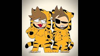 #ew #tord #tom #tordtom #eddsworld