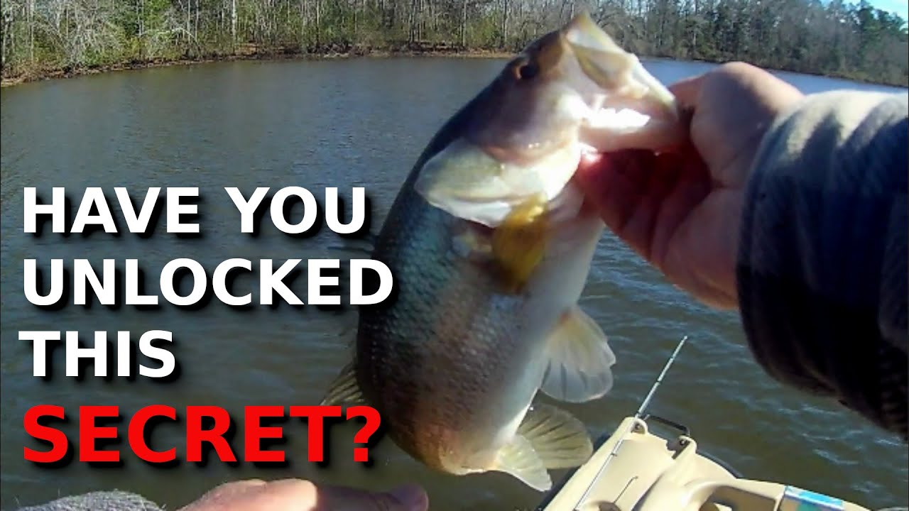 This COMPLETELY CHANGED My Winter Bass Fishing!!!!
