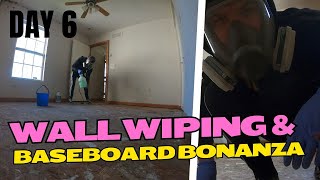 Solo Renovation Chronicles: Wall Wiping & Baseboard Bonanza!