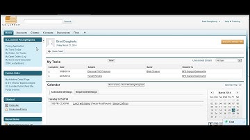 SalesForce Homepage- Side Pane