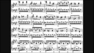 Liszt - Mephisto Waltz No. 1, S. 514 [André Laplante]