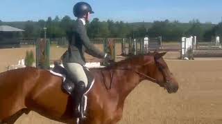 The Contender scoring an 85 and winning Childrens Hunter Classic