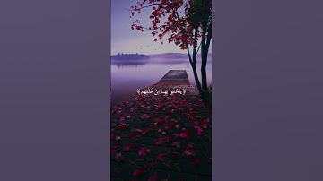 المنشاوي _ سورة آل عمران || فرحين بما آتاهم الله من فضلة