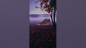 المنشاوي سورة آل عمران فرحين بما آتاهم الله من فضلة 