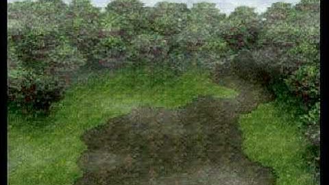 Grandia (033) At the Edge of Misty Forest