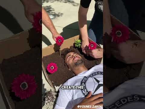 Amazing Photography From TikTok 