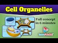 Class 9 Science Cell Organelles - Lysosomes, Mitochondria, Plastids and Vacuoles - LearnFatafat