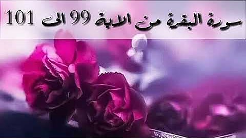 حفظ سورة البقرة من الاية 99 الى 101 بالتكرار