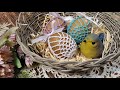 ЧЕХОЛ ДЛЯ ПАСХАЛЬНОГО ЯЙЦА крючком / EASTER EGG Crochet CASE