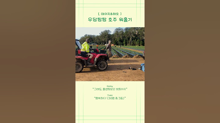 Daisy&Theo 딸기농장 컷팅 클라스