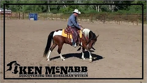 Ken McNabb Emotional Control | How to Calm the Anx...