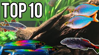 Top 10 Interesting Community Fish