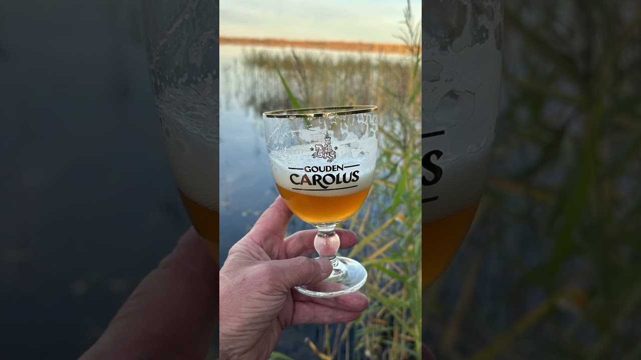 Carolus… на фоне осени… 🍁 