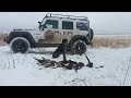 Кугалинское братство или охота на фазана! Kugaly brotherhood or pheasant hunting!