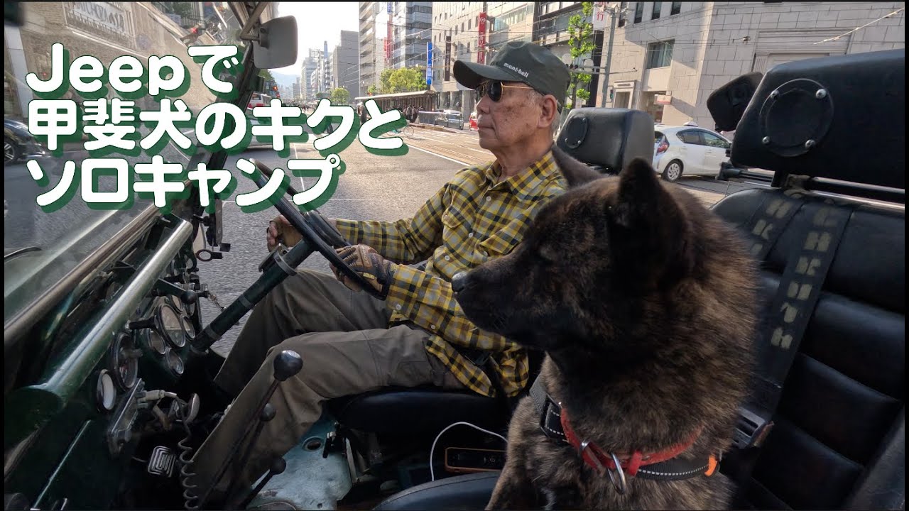 甲斐犬のキクとソロキャンプ