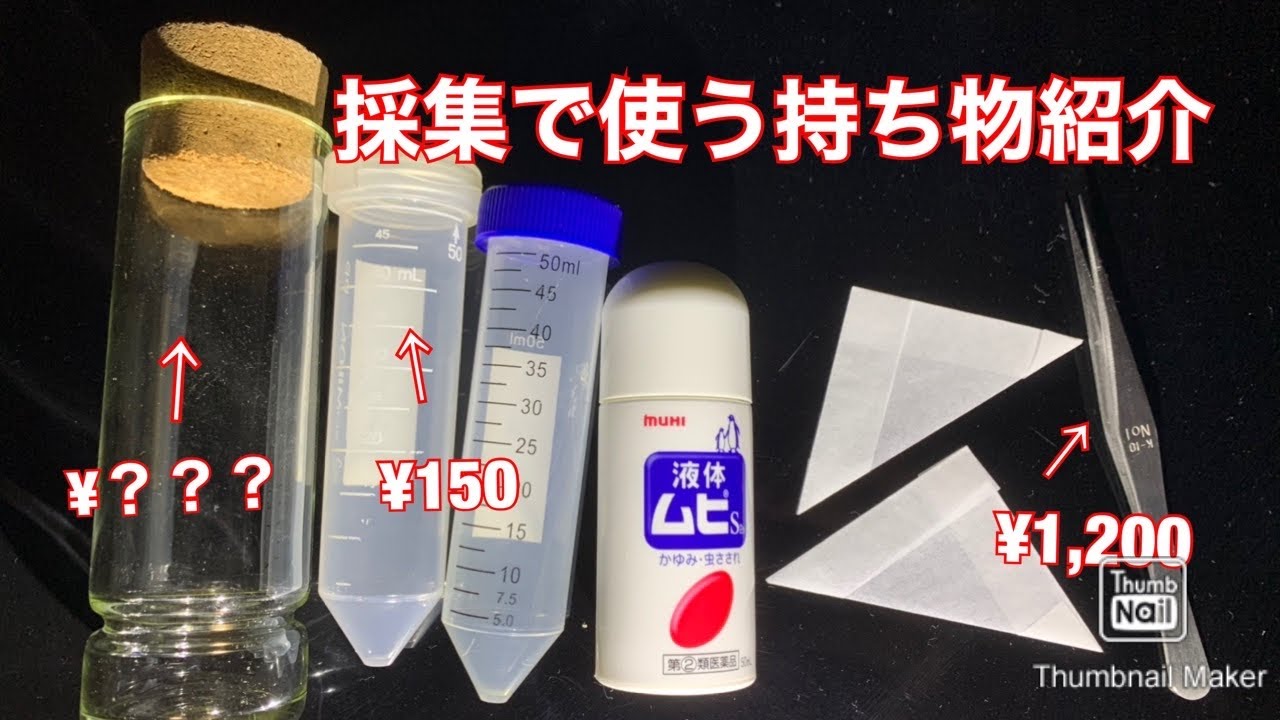 昆虫採集 昆虫隊長が採集に持っていく道具や採集後の虫の処理を紹介します 提供佐々木颯太様 Youtube