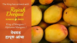 Rajesh Agro - World Class #Alphanso #Mangoes by RAJESH screenshot 2