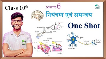नियंत्रण एवं समन्वय || control and coordination class 10 || niyantran evam samanvay class 10th
