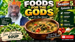 THERE IS NO OTHER HERB IN THE WORLD THAT HAS MORE OMEGA ACIDS THAN THIS HERB