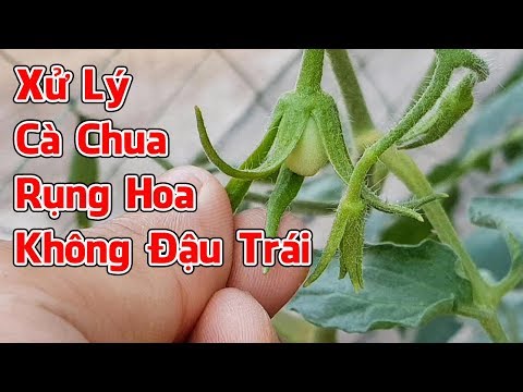 Video: Làm thế nào để nhận được một công việc tại Bộ Tình trạng Khẩn cấp tại nơi cư trú