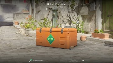 OPENING CASES CS2. DAY 184. GALLERY CASE.