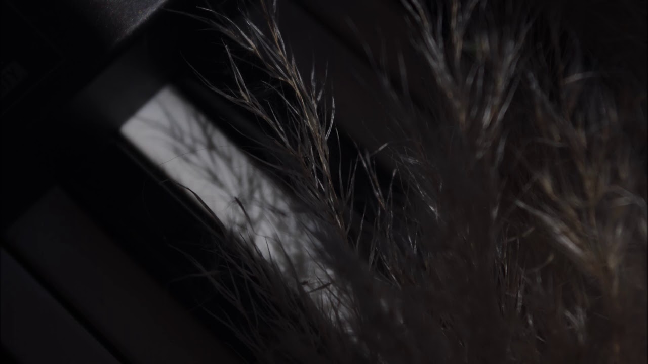 Bigeneric - Deltoid (Mélodies Souterraines)