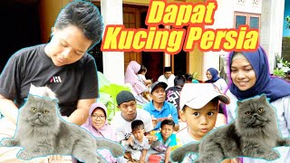 DAPAT KUCING PERSIA LUCU | Kucing Lucu | eybel channel