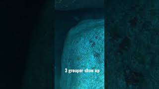 There Was 3 Grouper On This Hole And I Took The Bigger Black