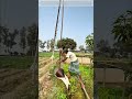 Balancing Water: The Ancient Physics of the Counterweight Well