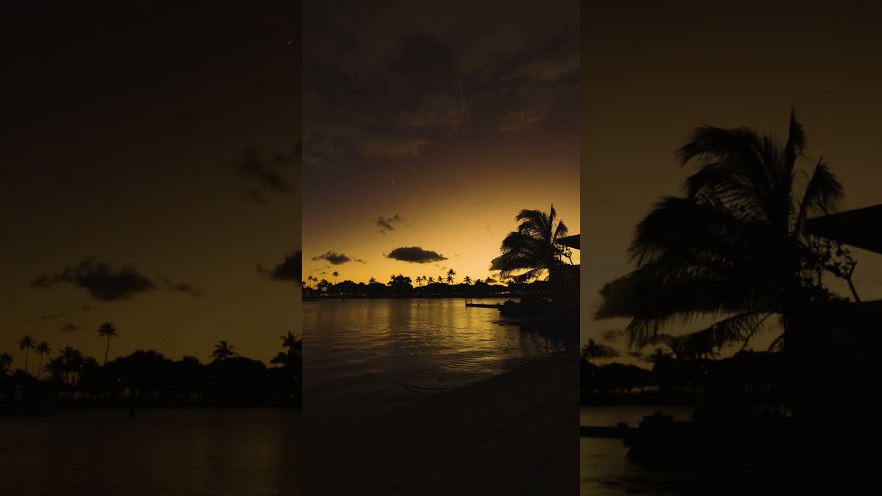 Vertical video | Golden Hour Tranquility at Ala Moana Park 🌅 | Honolulu’s Sunset Magic