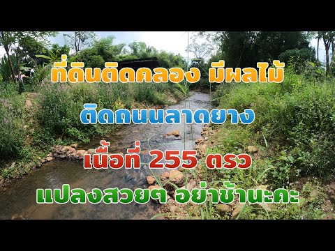 ที่ดิน ติดลำธาร มีผลไม้นิดหน่อย ติดถนนดำ วิวเขาสวย พิกัด #เขาพระ #นครนายก#ที่ดินติดน้ำ