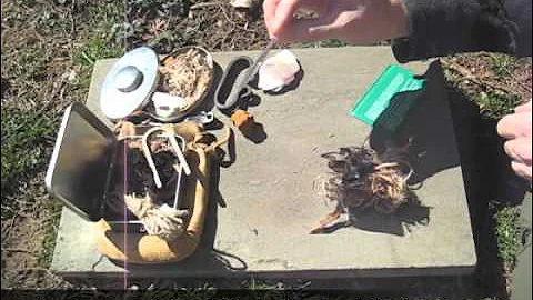 Fire Making with a Fresnel Lens