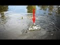 Best Hook Fishing | Fishing With Hook | Traditional Hook Fishing at The Pond With Beautiful Neture