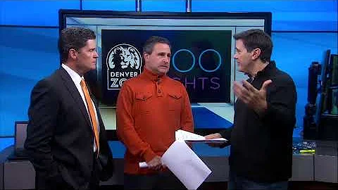 Darren Copeland, 24/7 News, recaps the Broncos-Bil...